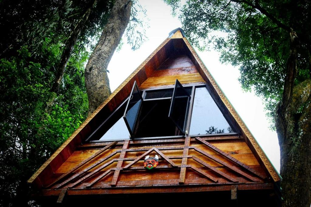 Virarajendrapet Bed & Breakfast | Econest treehouse