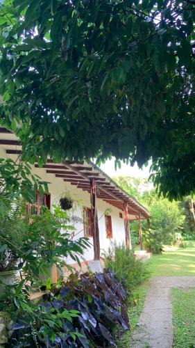 El Queremal House | ecopolis birds lodge
