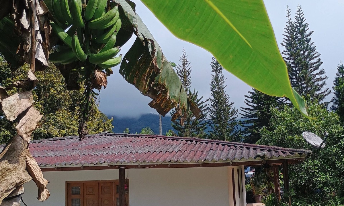 Dagua Hotel | Ecopolis