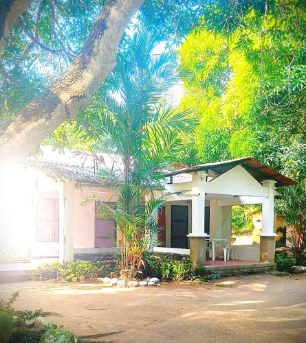 Mata de Platano House | Eden Garden