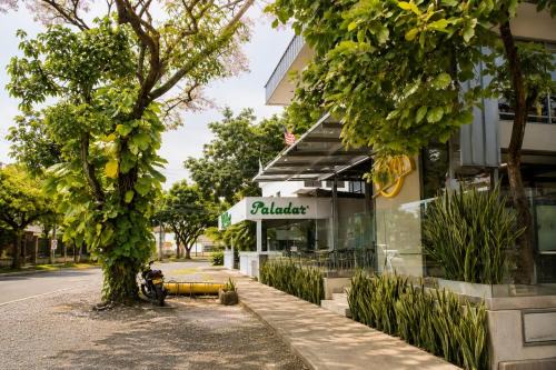 San Fernando Apartment | Edificio Elizabeth