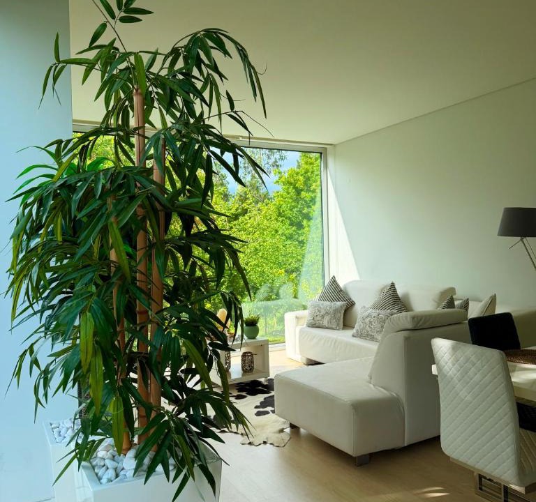 Lanhelas House | Ednas Place - Tranquilidade e Natureza