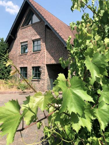 Antweiler House | Eifel-Quartiere "Großes Quartier"