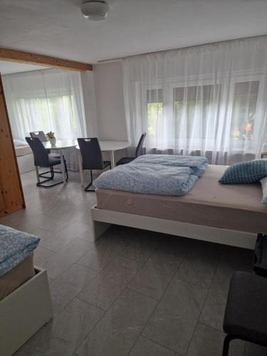 Waldshut-Tiengen Apartment | Einzimmer mit Küche und bad