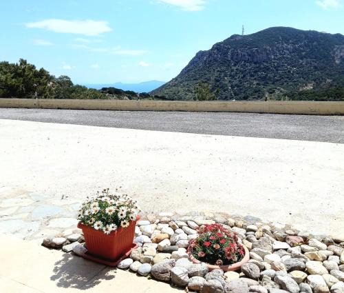 Kefalos Apartment | Eirini