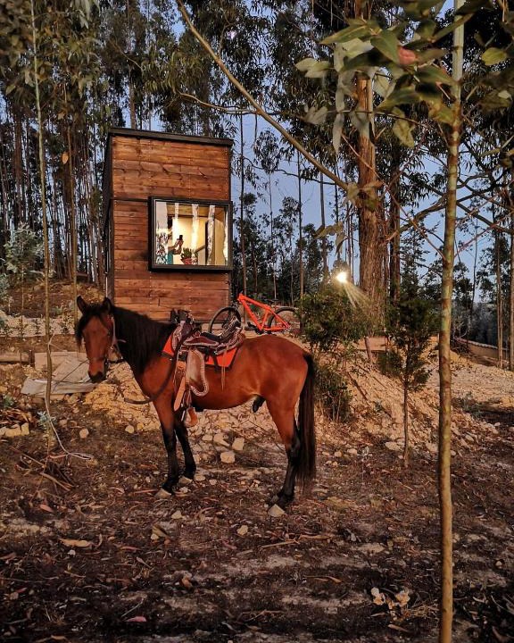 Paipa Other | El Bosque de Paipa