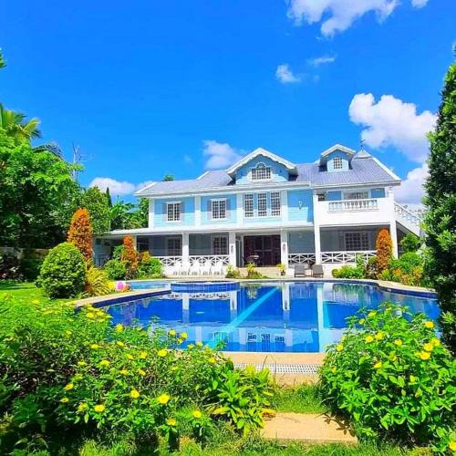 Amadeo House | El Casa Azul