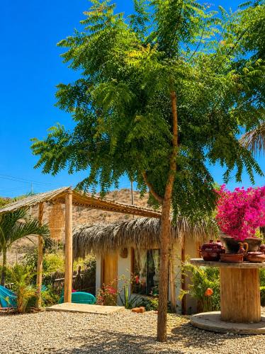 Punta Sal Apartment | El Cottage de Vasco