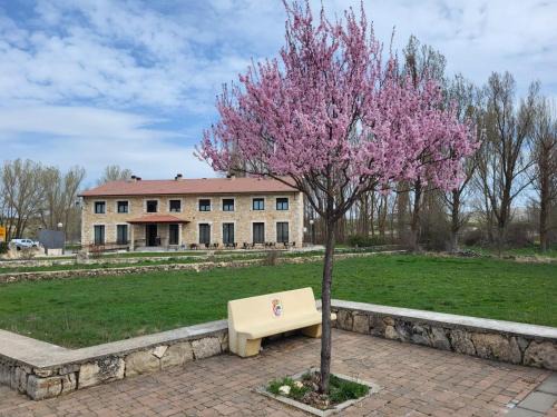 Campisabalos House | El Mensario