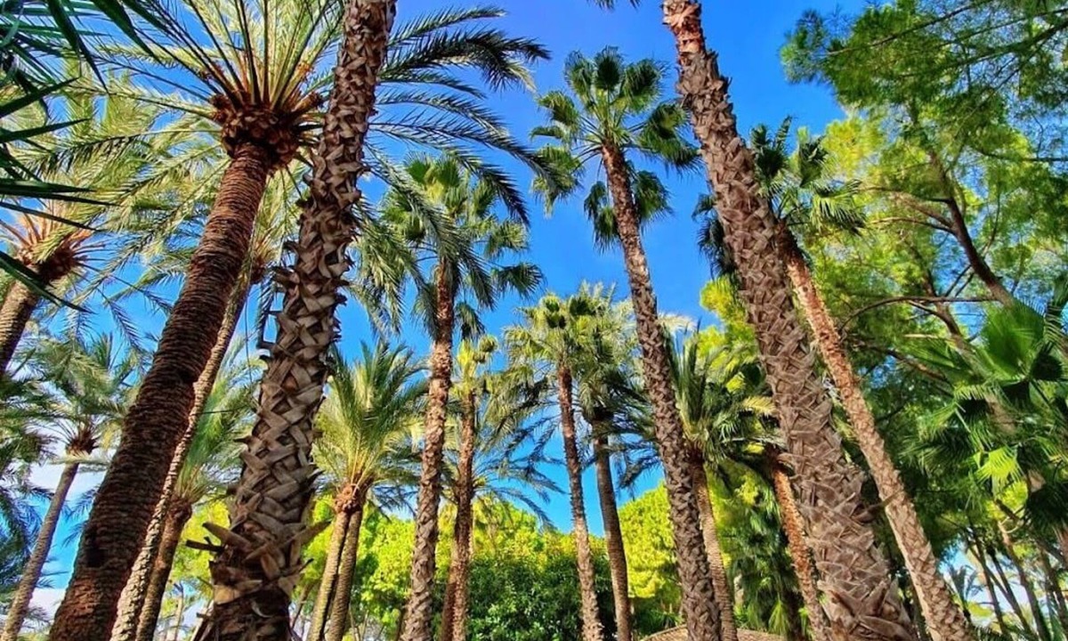 L'Eliana Hotel | El Oasis