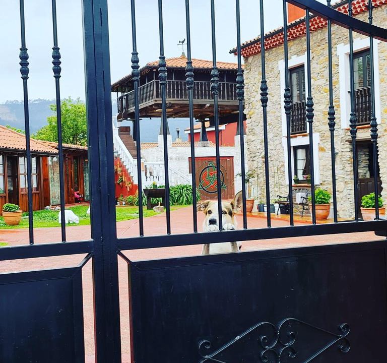 Cerecedo House | El Perlindango