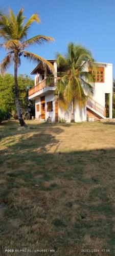 Monitos House | El refugio