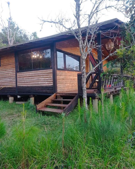 Medellin House | El rinconcito del bosque