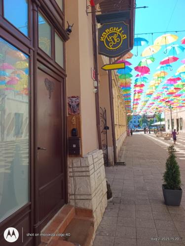 Baia Mare Apartment | elefant