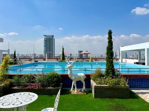 Phaya Thai Hotel | Elizabeth Hotel