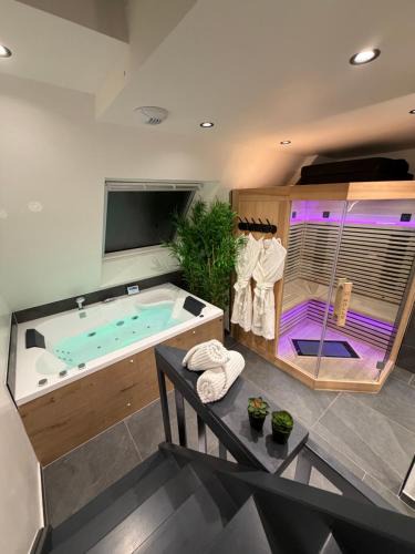 Klingenthal Apartment | ELYSIA Nature & Spa