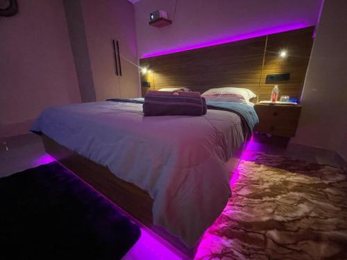 Sainik Farm Apartment | Elysium