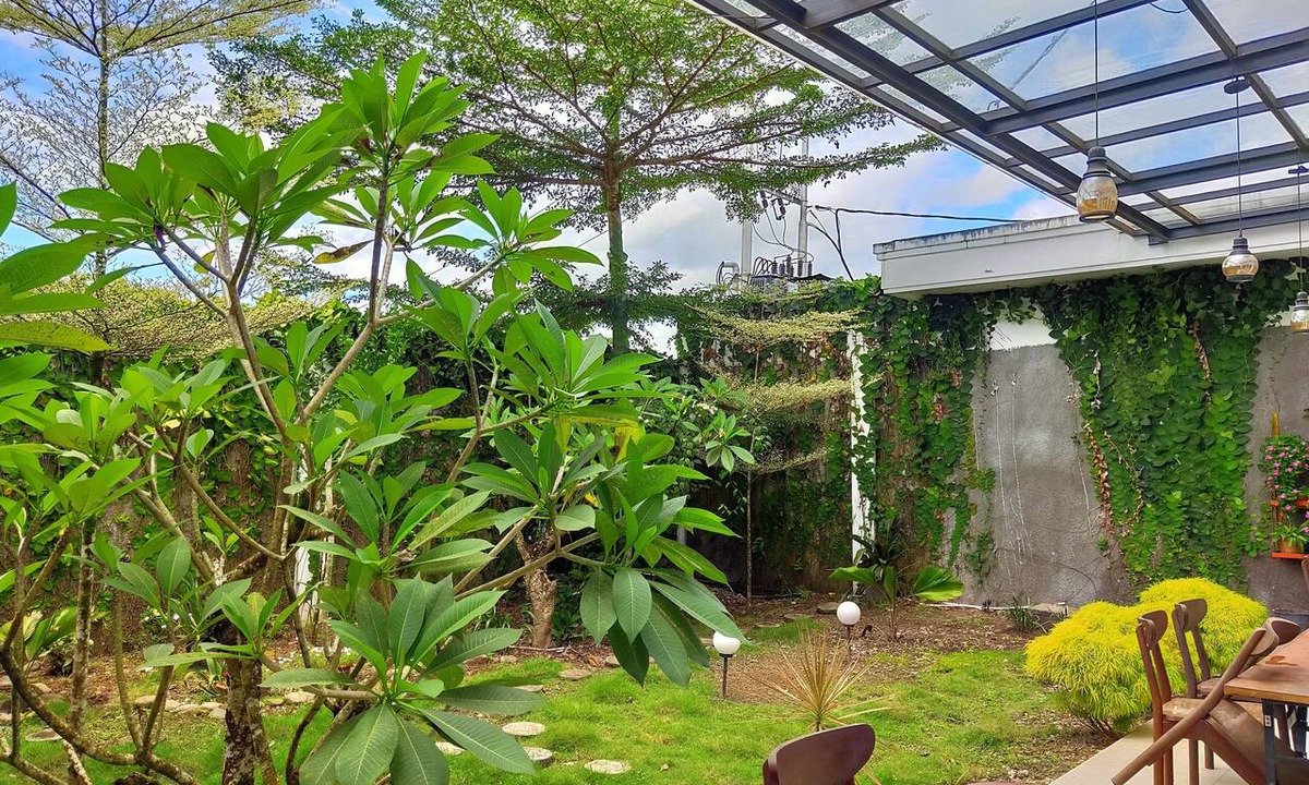 Timika Hotel | Emerald Hotel