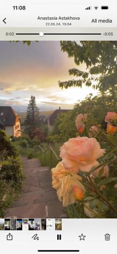 Waldshut-Tiengen Apartment | EMI2 Modern Apartment Free Parking Near Swiss Border