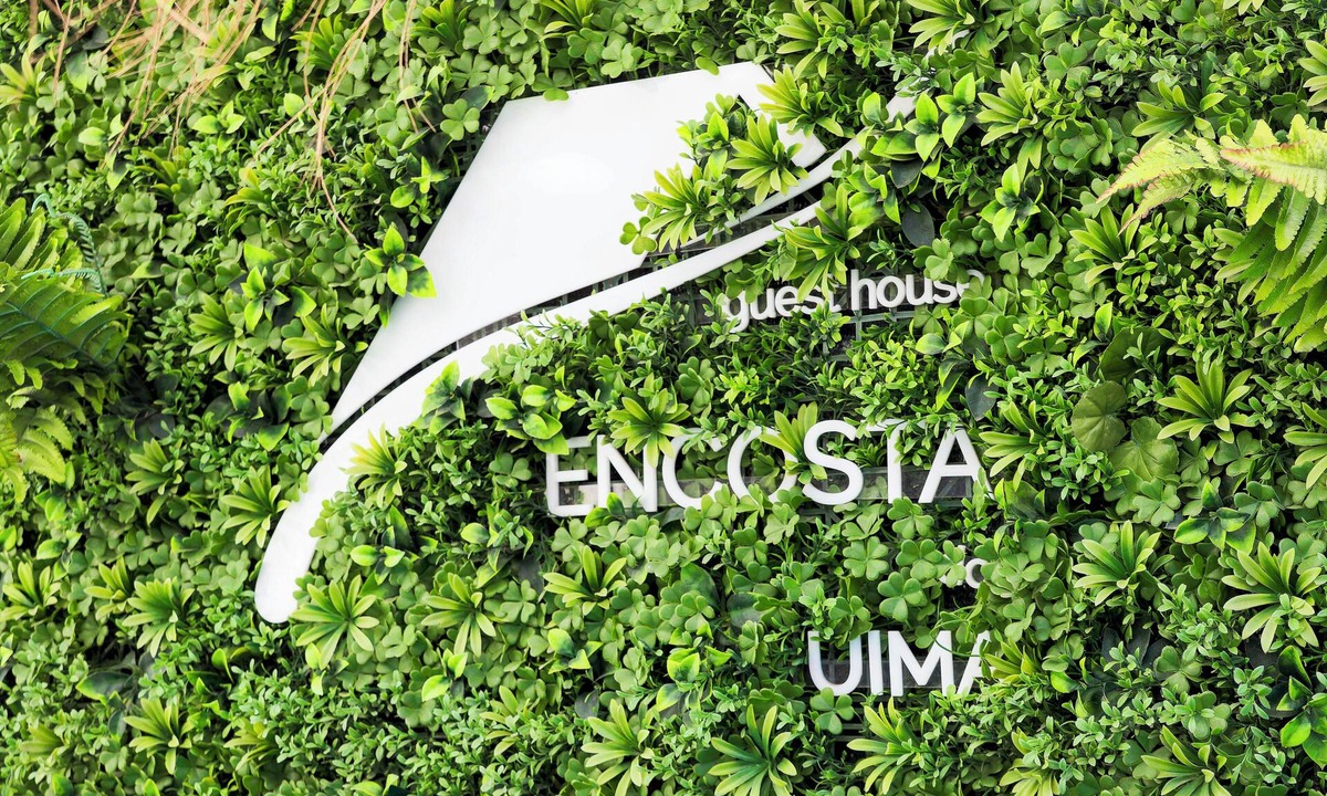 Caldas de Sao Jorge House | Encosta do Uíma Guest House