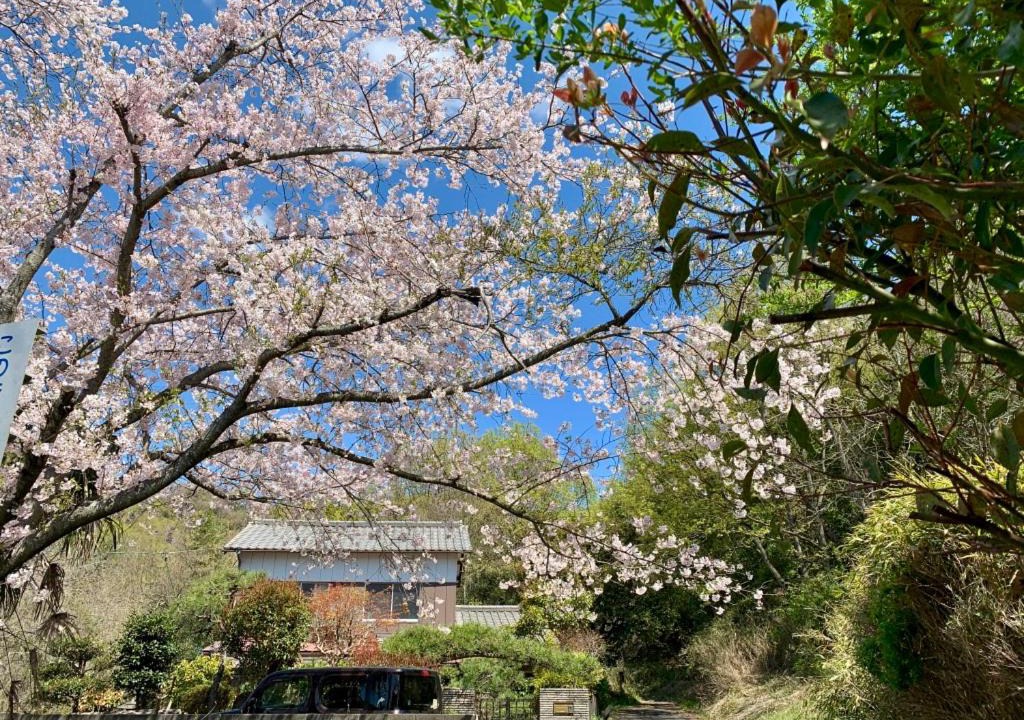 Tamano Cabin | Ensoh