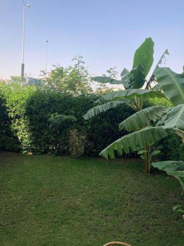 Sheikh Zayed City Apartment | Entire Apartment with Garden