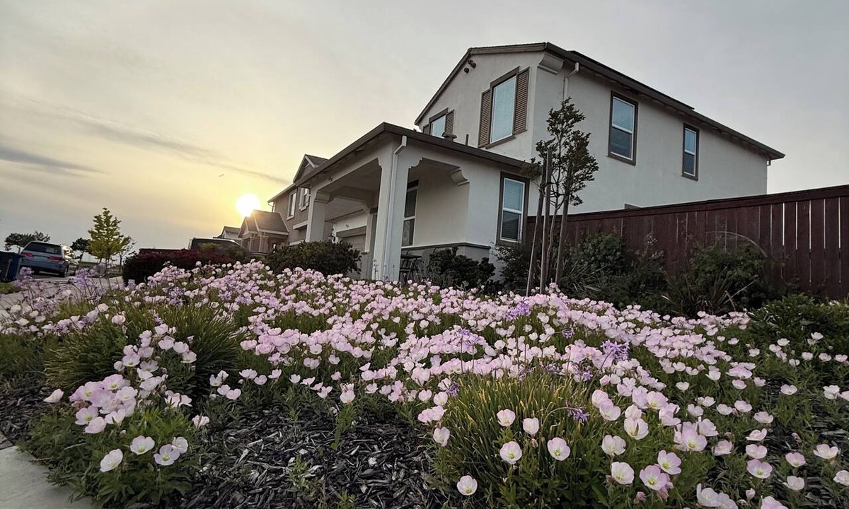 Rio Vista House | Entire Luxury 4 br House Near River with Hot Tub