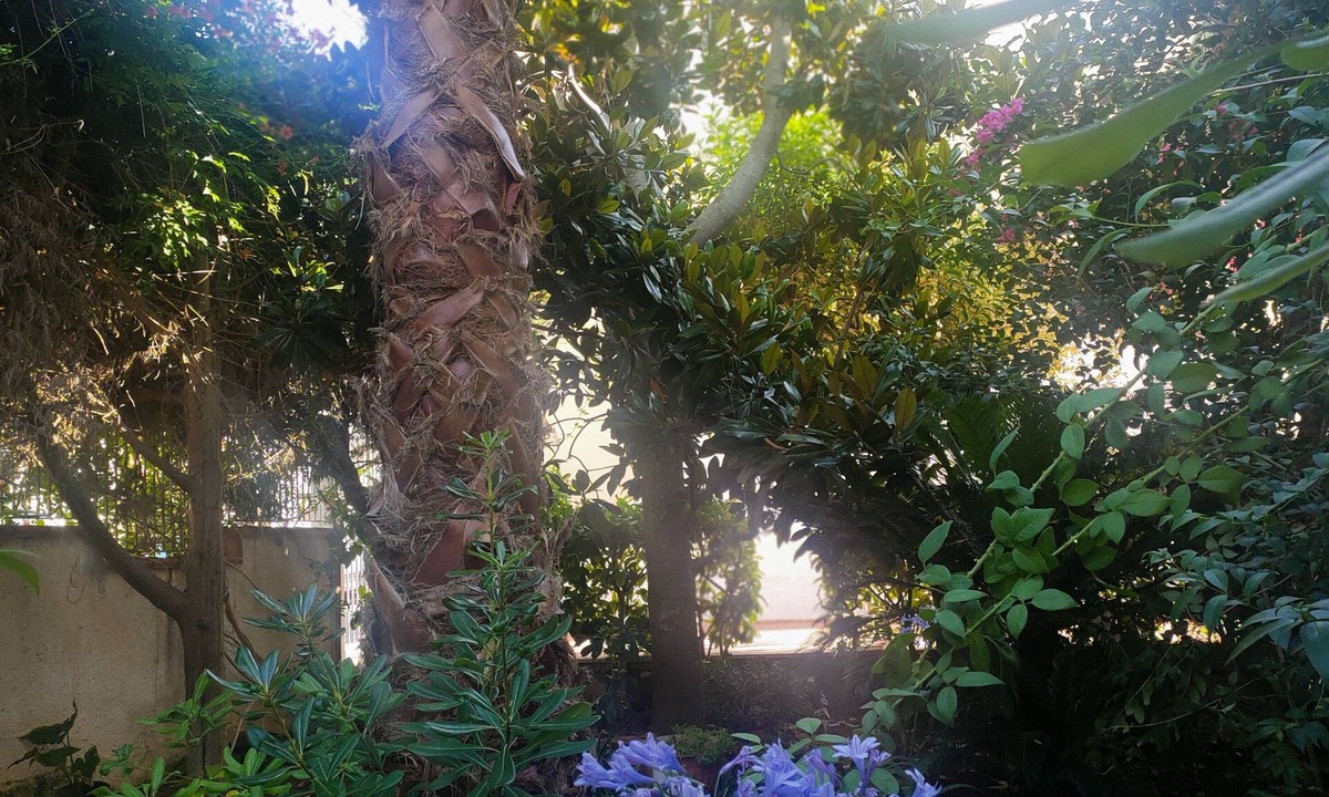 Specchiolla House | Entire villa surrounded by greenery 3 rooms with bathroom