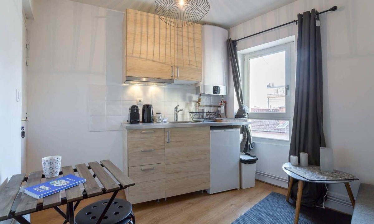 Part Dieu - Bir Hakeim Apartment | Entrance of the artists