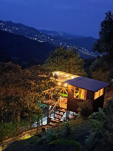 Cali Other | Entre Arboles Cali