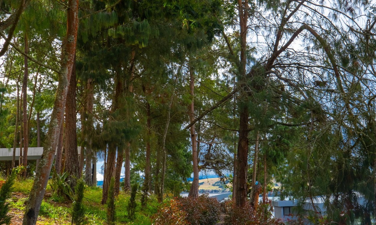 Aquitania Hotel | Entre Islas Lodge