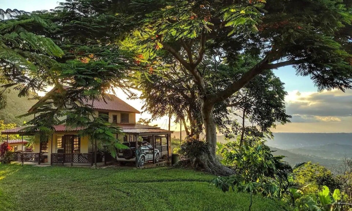 Vivi Abajo Cottage | Epic Mountaintop Jungle Cottage Adventure