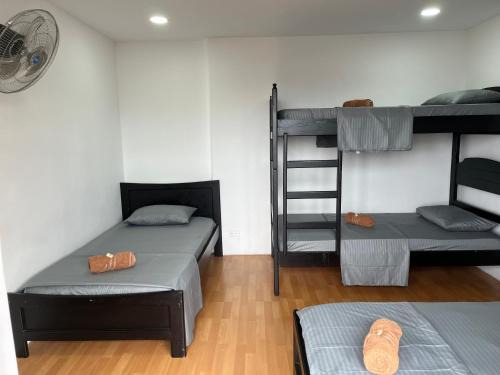 San Antonio House | Epifania Hostel