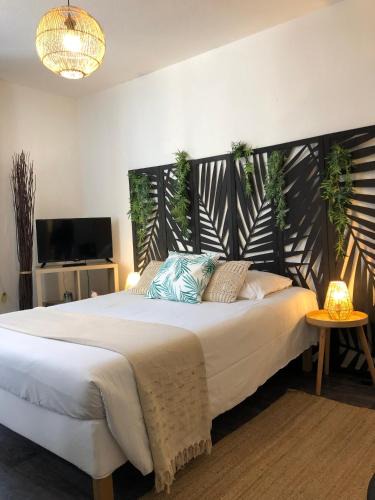 Clermont Ferrand City Centre Apartment | Equateur-centre Jaude