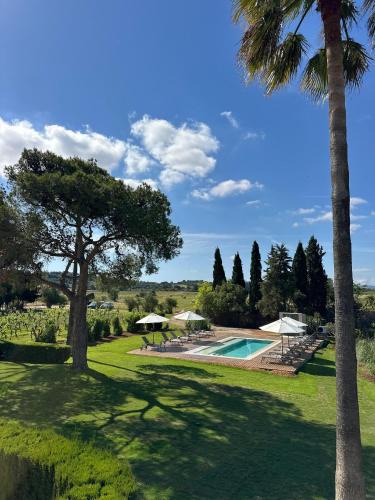 Manacor House | Es Mayolet