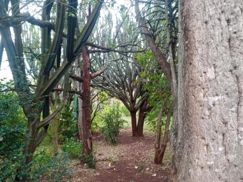 KwaNompondo Other | Ethlathini Rest Camp