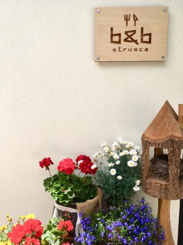 Polsa Bed & Breakfast | Etrusca Polsa