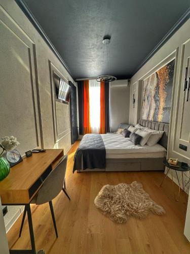 Beius Apartment | Euphoria Apartments