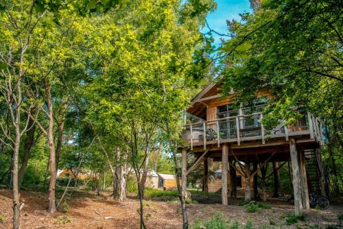 Ruinen Resort | EuroParcs Ruinen