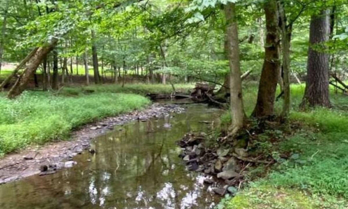 Berkeley Springs Cabin | "Evergreen" Private, creek-side escape