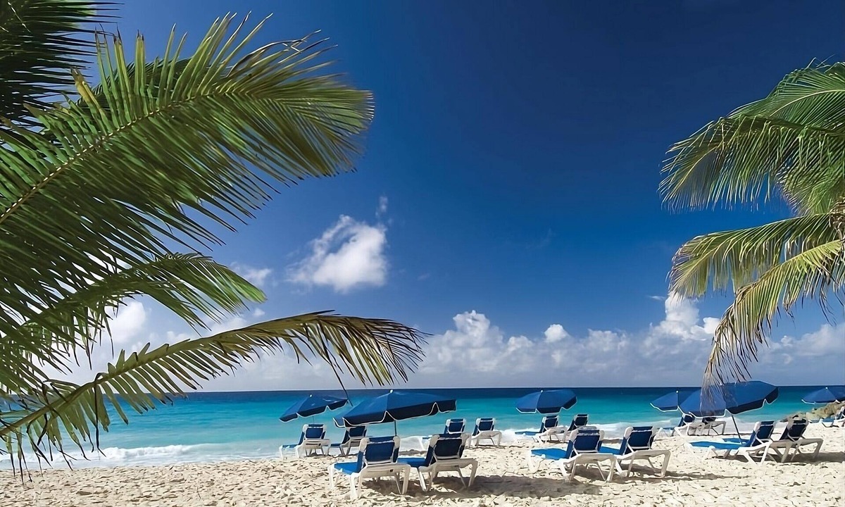 Saint Lawrence Apartment | Excellent Location for Your Beach Vacation! 2 Gorgeous Units (w/ Kitchens Each)