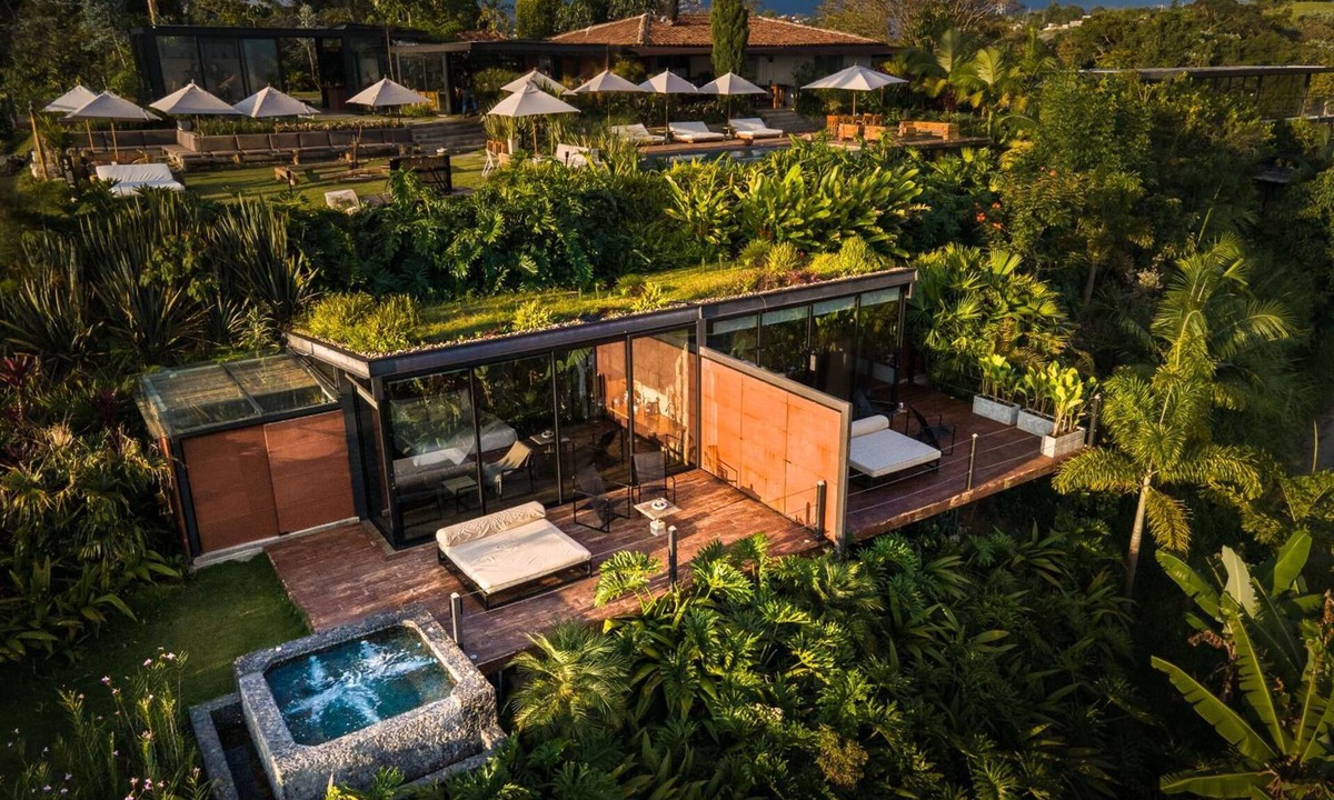 Circasia Hotel | Experience Forest Bliss at Stylish Suite w/Outdoor Terrace | Onsite Pool