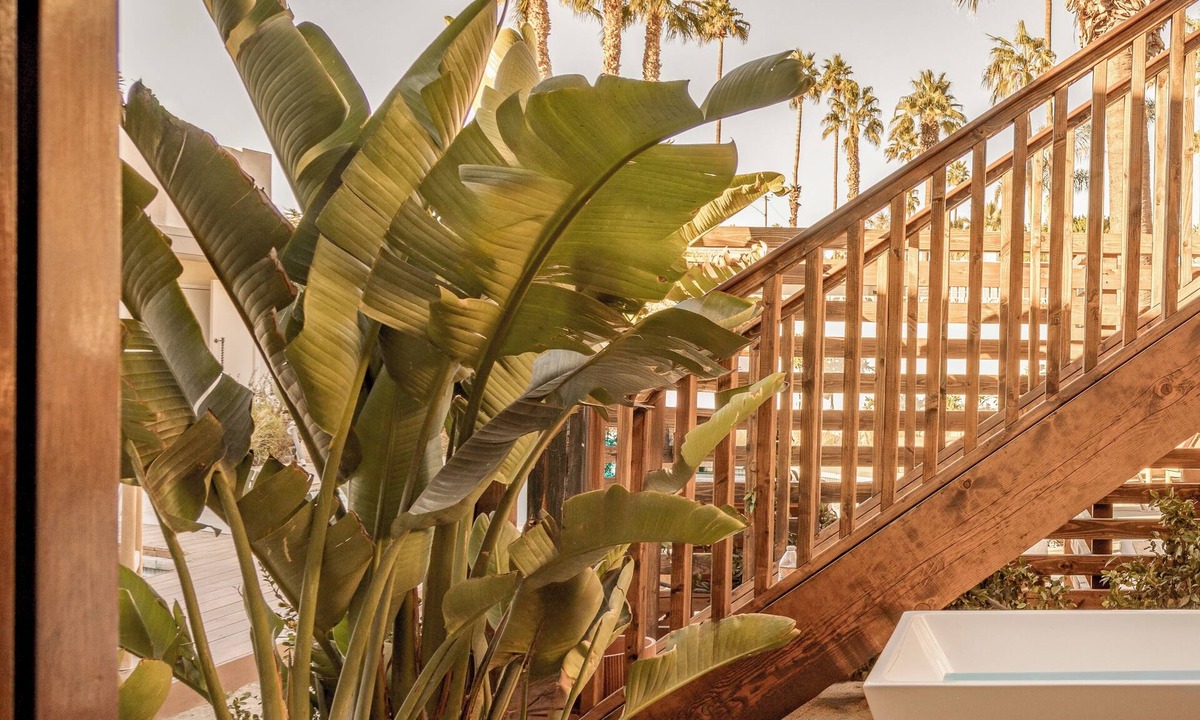 Uptown Design District Hotel | Experience Luxury with Outdoor Spa Suite