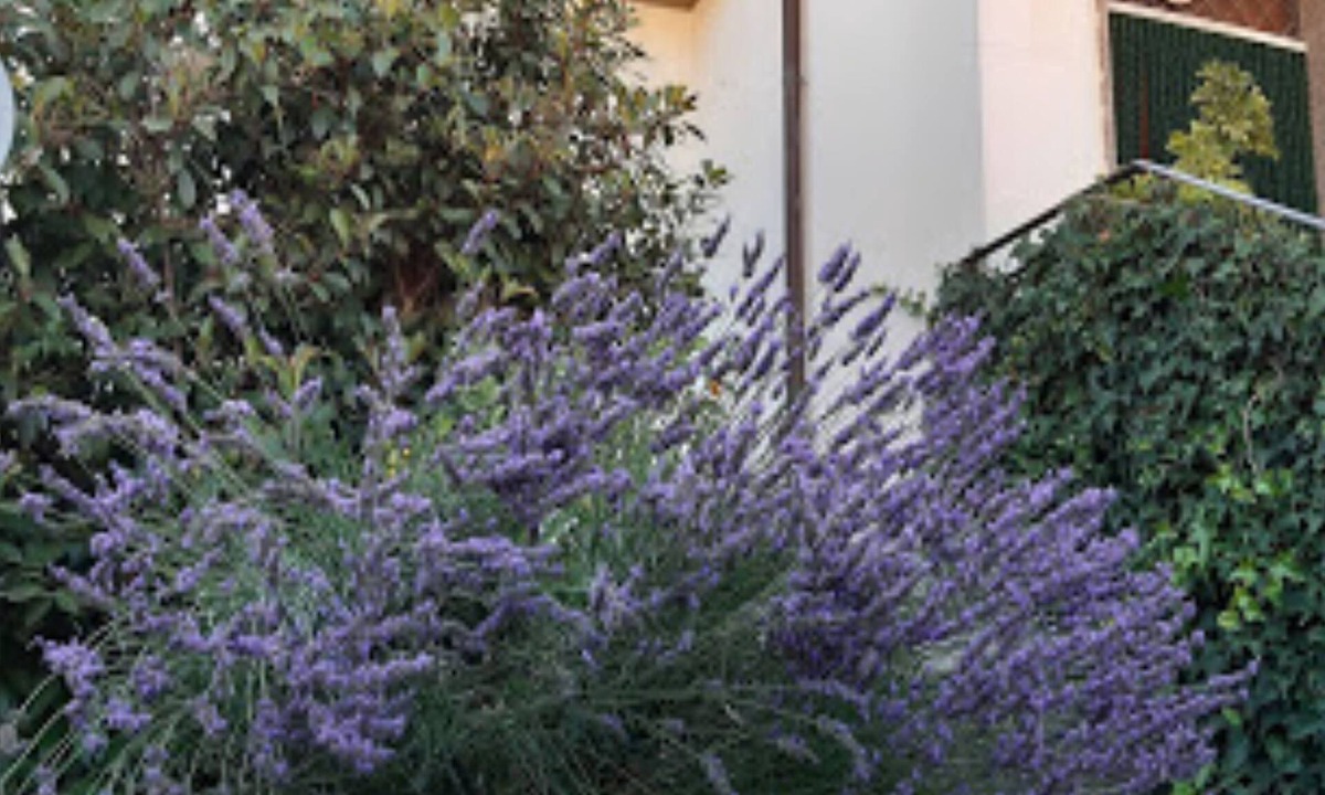 Marino Bed & Breakfast | Fabiola Bed & Breakfast