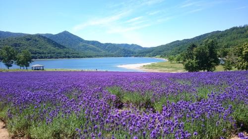 Minamifurano Hotel | Fairfield by Marriott Hokkaido Minamifurano