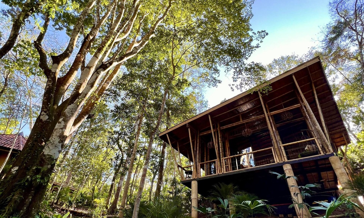 Jaco Cabin | Fairytale ceiling glass bamboo structure with jungle view