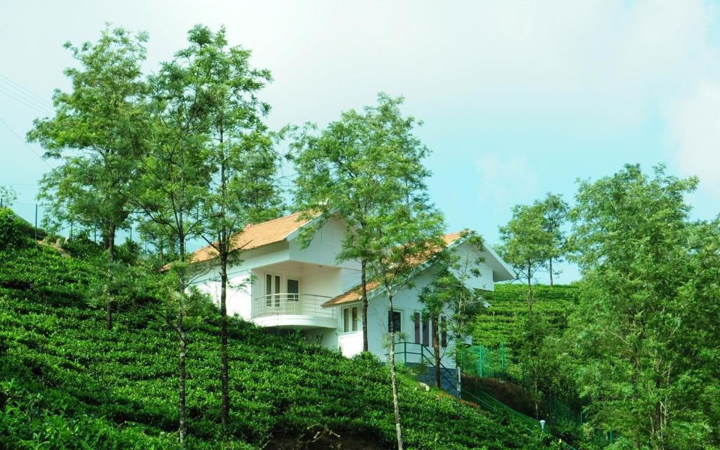 Elappara Resort | Falcon Crest
