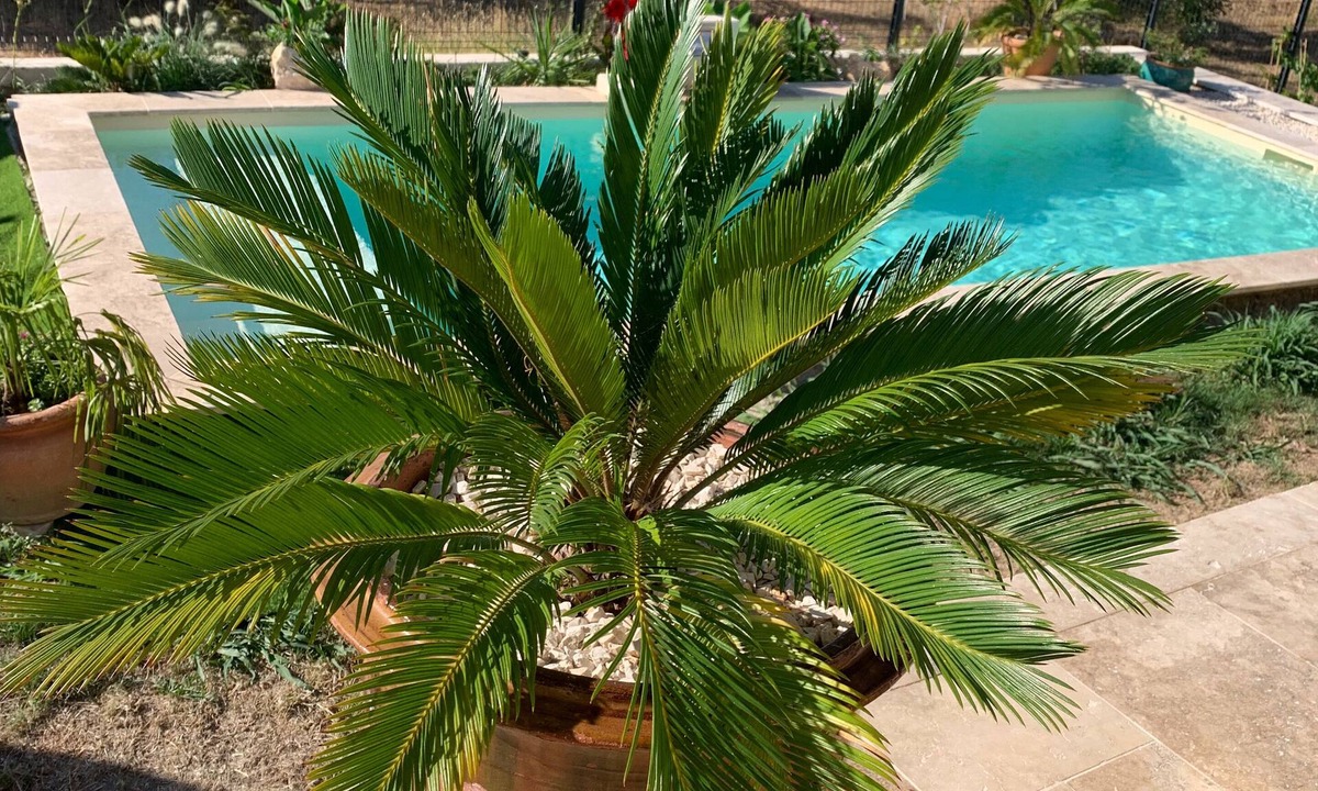 Sagries House | Family home with pool and garden in a quiet location near Uzès and the Pont du Gard