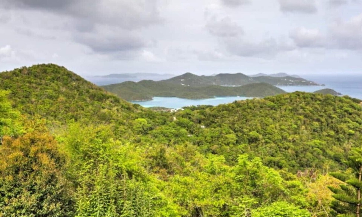 Upper Carolina Apartment | Fantastic Panoramic Views of The British Virgin Islands, Amazing Sunrises, Pool