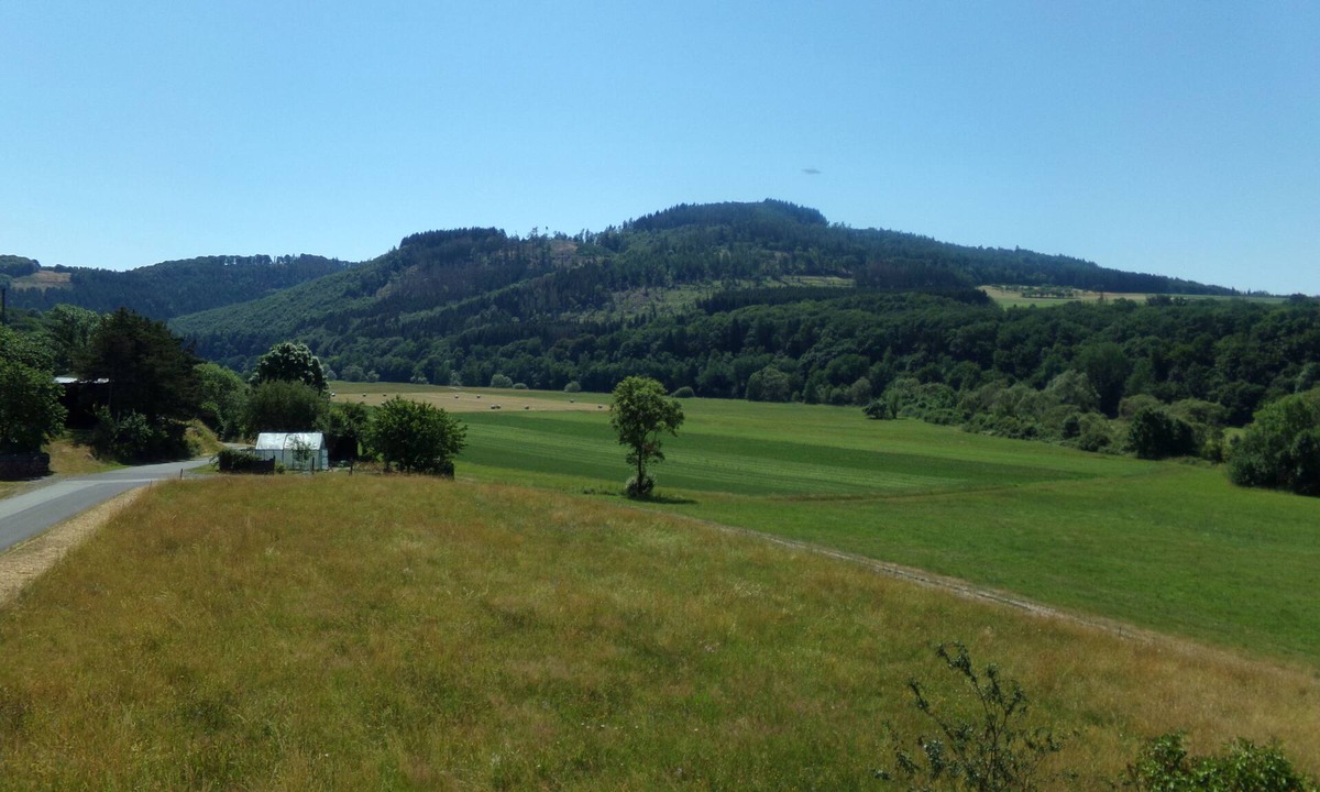 Dodenau Condo | Fantastic view of the Eder floodplain